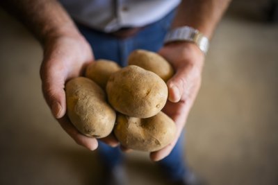 Aardappelen 't Engebroeckhof