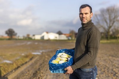 Witloofteler Stijn