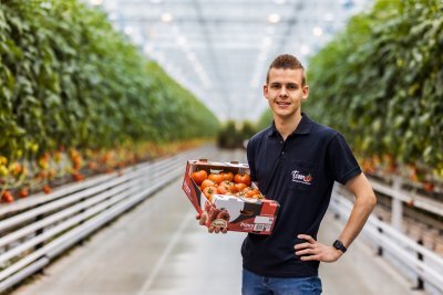 Tomatenteler Mitch Vermeiren