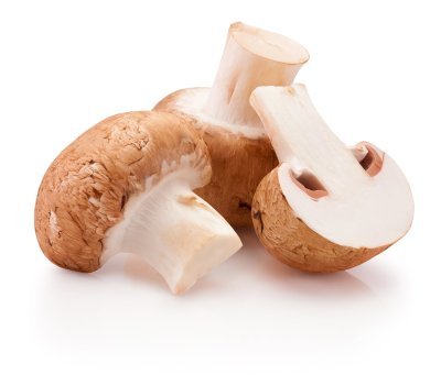 Kastanjechampignons