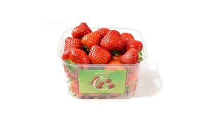 Recyclable aardbeienpunnet