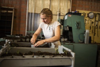 Tineke Volckaerts van Kruidenkwekerij Volckaerts