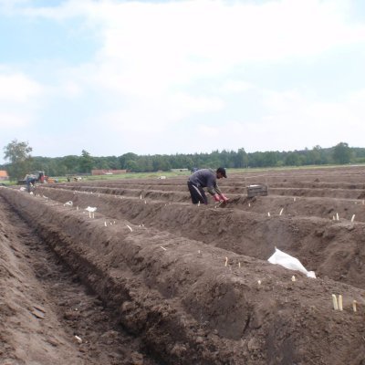 Kempense Hoevekaas Van Roey