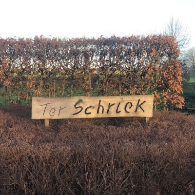 Ter Schriek