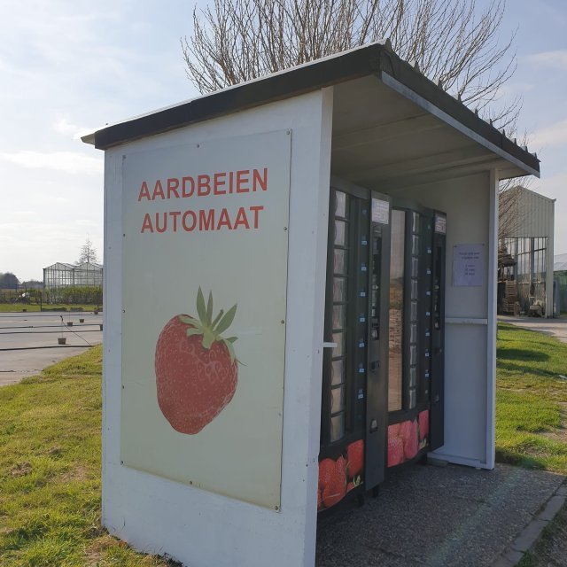 Aardbeien Danneels