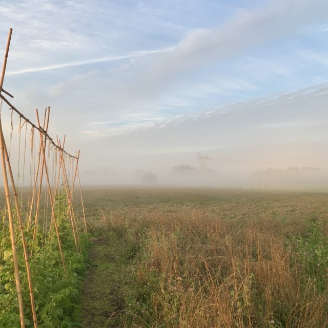 Grassroots klimaatboerderij - afhaalpunt veld