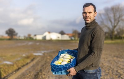 Witloofteler Stijn