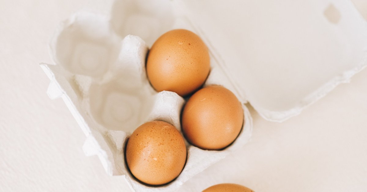 Waarneembaar Kerstmis Dekking Eieren kopen: waar moet ik op letten? | Lekker van bij ons