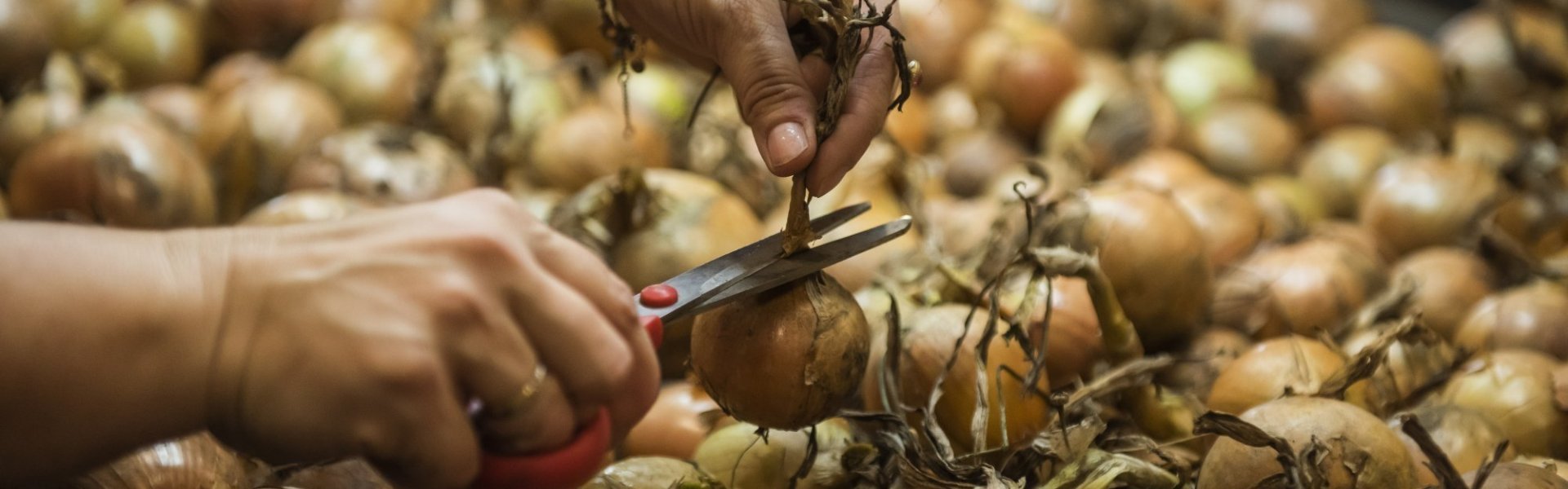 Aardappelen Machiels uien